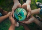 Sicredi neutraliza mais de 34 mil toneladas de carbono