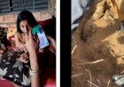 TJMT mantém prisão de “Brisa”, acusada de sequestro e homicídio em Primavera