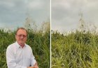 Combate à dengue: prefeito cobra apoio da população na limpeza de terrenos em Querência