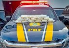 PRF Barra do Garças fecha 1° semestre com apreensão de mais de uma tonelada de drogas