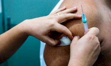 Dengue: 2025 pode superar casos do ano passado no Brasil, diz especialista