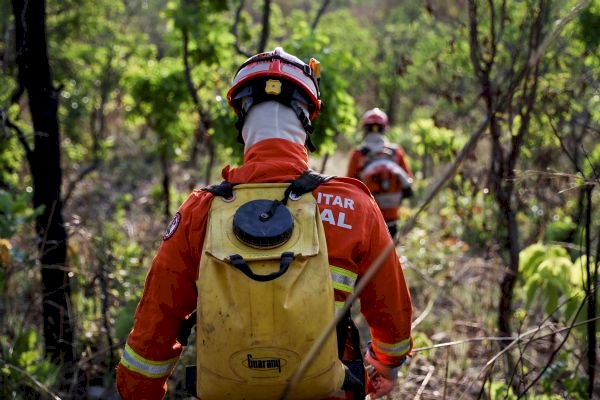 Dino estabelece orçamento de emergência para combate a incêndios