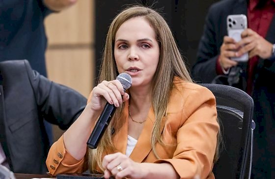 “MT se consolidou como um dos principais destinos de investimentos do país”, afirma secretária