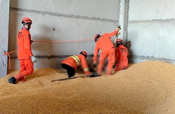Trabalhador morre soterrado por carga de milho durante descarregamento em MT